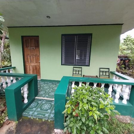 1Peace Beach Resort Anda  Exterior photo
