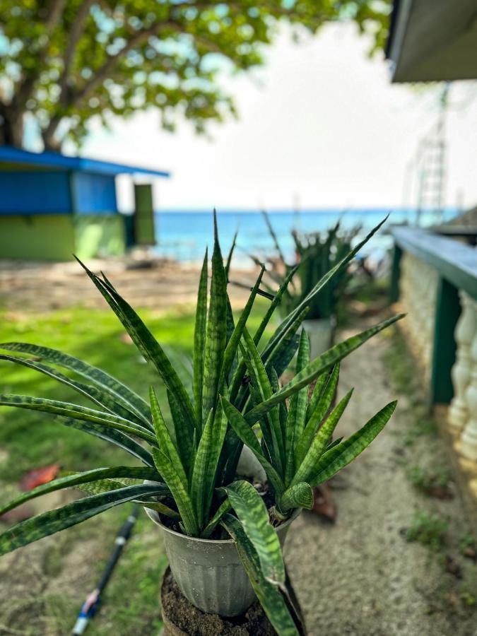 1Peace Beach Resort Anda  Exterior photo